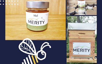 Merity | Bouchàmiel